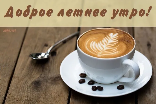 Картинки с Добрым утром лета (230 открыток). Красивые и позитивные картинки Доброе летнее утро