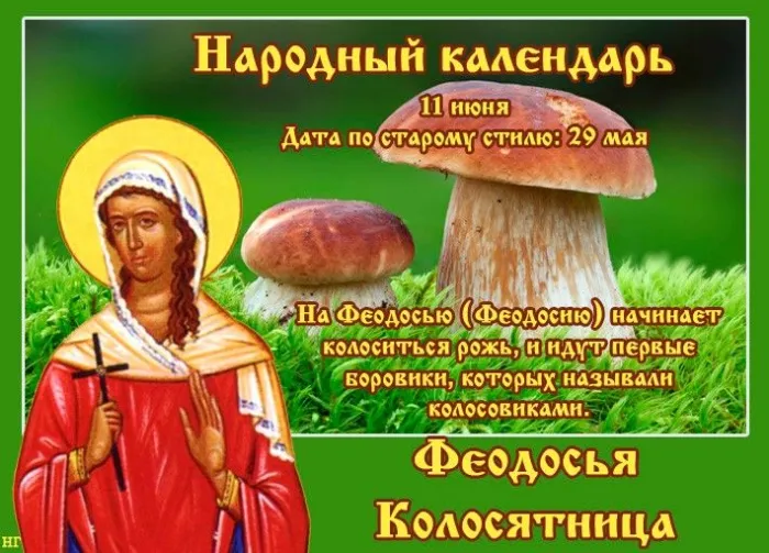 Картинки Феодосья Колосятница (17 открыток)