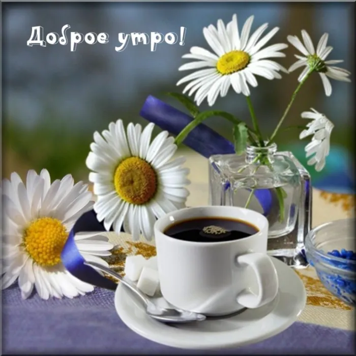 Картинки с Добрым утром лета (230 открыток). Красивые и позитивные картинки Доброе летнее утро