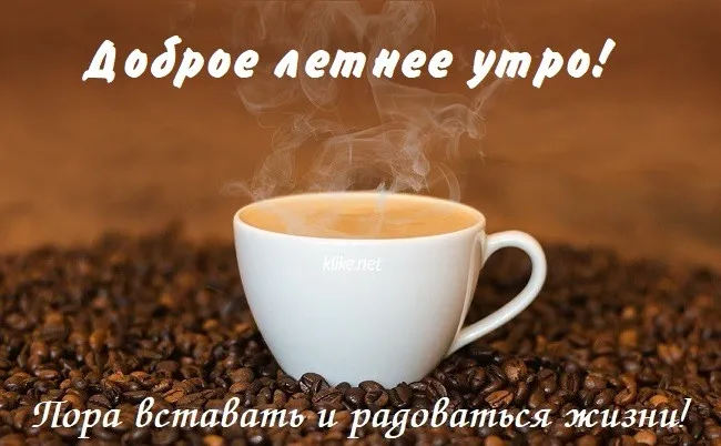 Картинки с Добрым утром лета (230 открыток). Красивые и позитивные картинки Доброе летнее утро