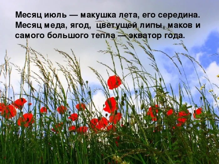 Картинки с первым днем июля (95 открыток). Красивые картинки с первым днем июля