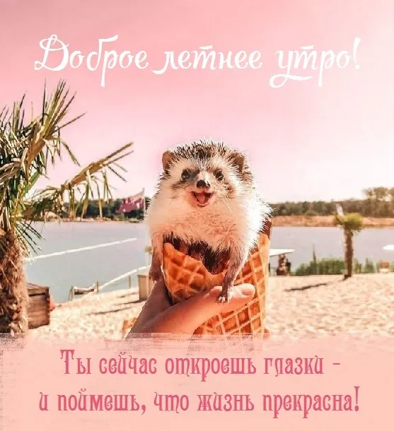 Картинки с Добрым утром лета (230 открыток). Красивые и позитивные картинки Доброе летнее утро