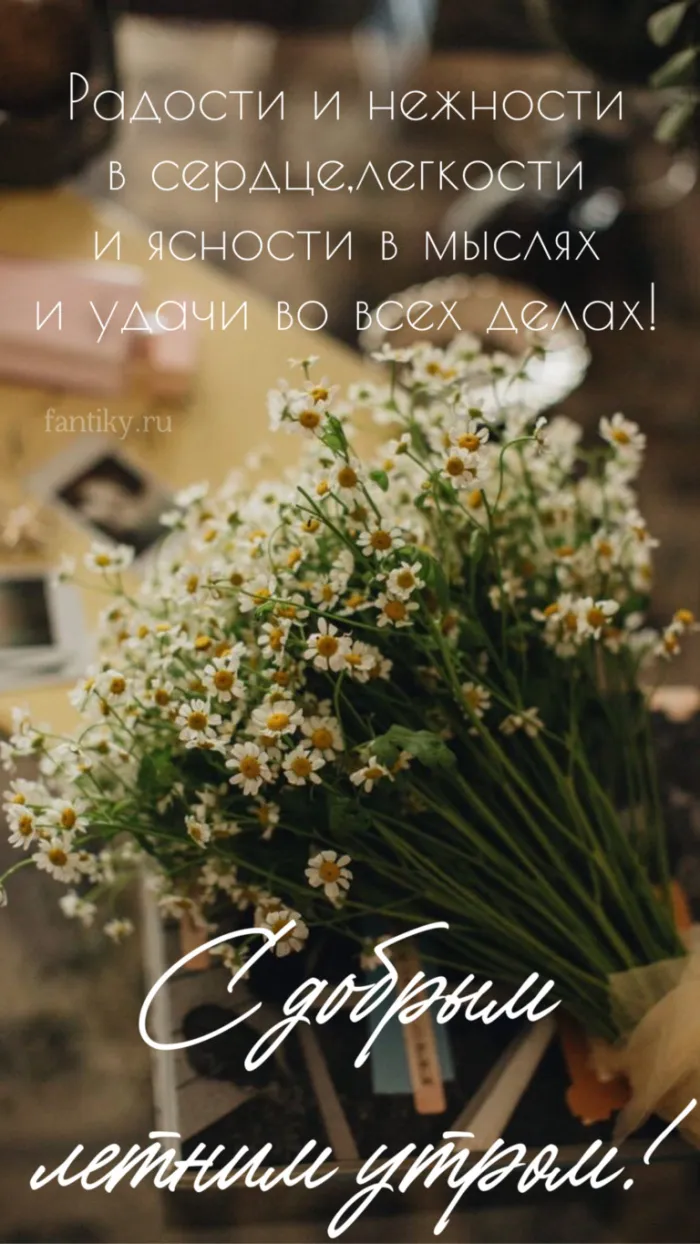 Картинки с Добрым утром лета (230 открыток). Красивые и позитивные картинки Доброе летнее утро
