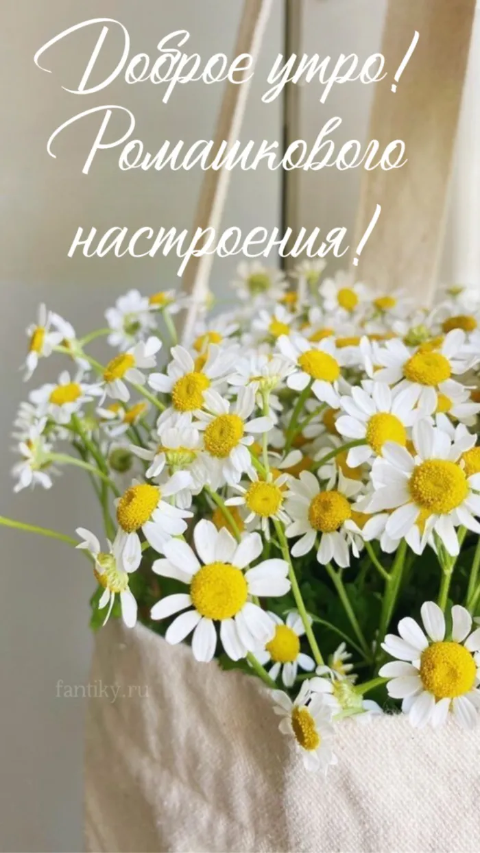 Картинки с Добрым утром лета (230 открыток). Красивые и позитивные картинки Доброе летнее утро