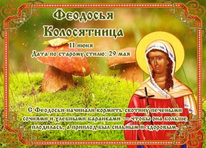 Картинки Феодосья Колосятница (17 открыток). Феодосья Колосятница: красивые картинки с надписями