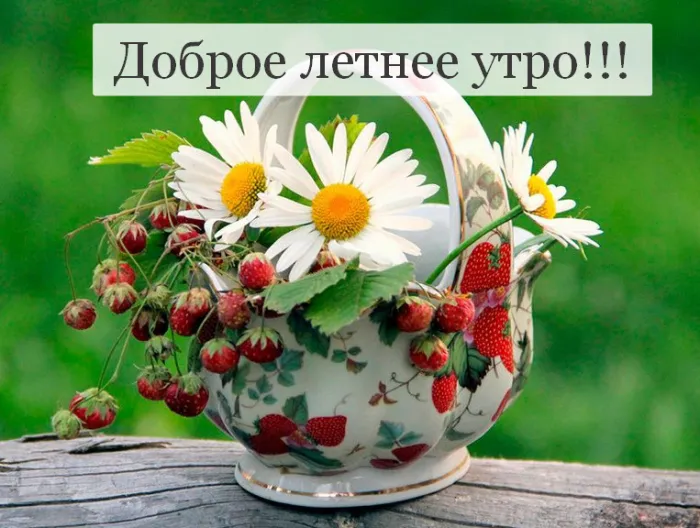 Картинки с Добрым утром лета (230 открыток). Красивые и позитивные картинки Доброе летнее утро