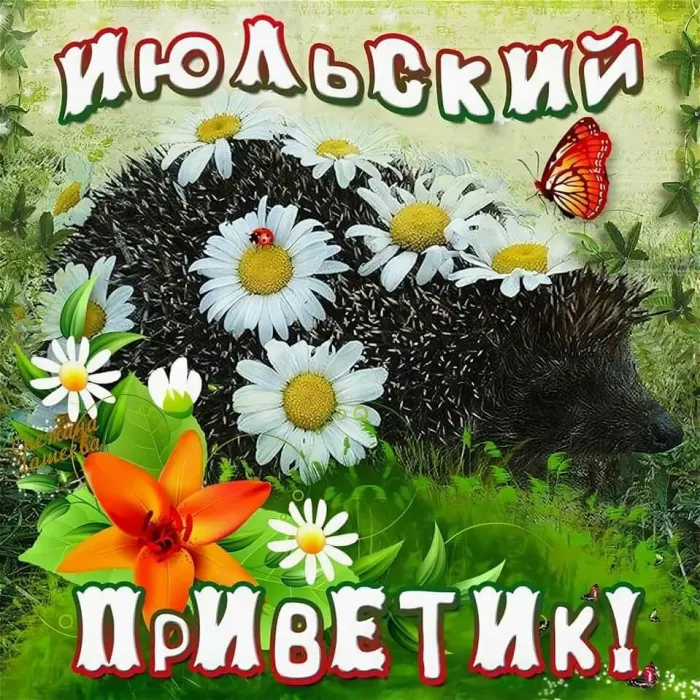 Картинки с первым днем июля (95 открыток). Красивые картинки с первым днем июля