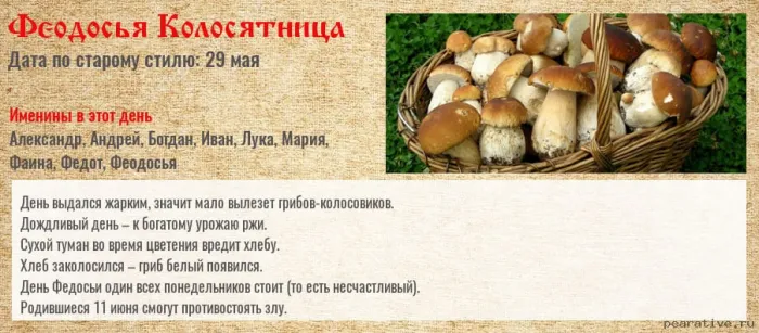 Картинки Феодосья Колосятница (17 открыток). Феодосья Колосятница: красивые картинки с надписями