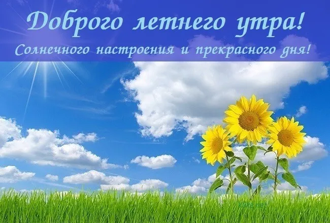 Картинки с Добрым утром лета (230 открыток). Красивые и позитивные картинки Доброе летнее утро