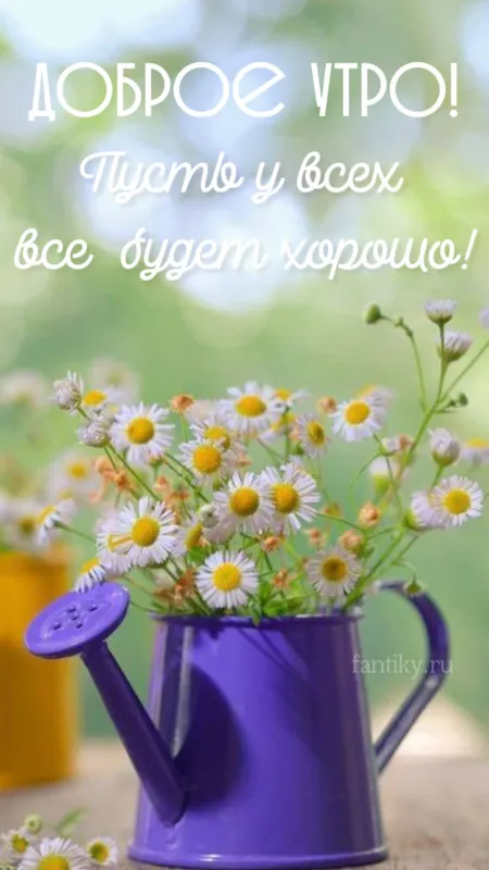 Картинки с Добрым утром лета (230 открыток). Красивые и позитивные картинки Доброе летнее утро