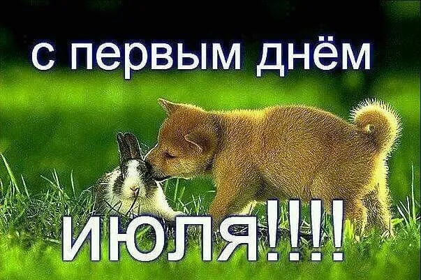 Картинки с первым днем июля (95 открыток). Красивые картинки с первым днем июля