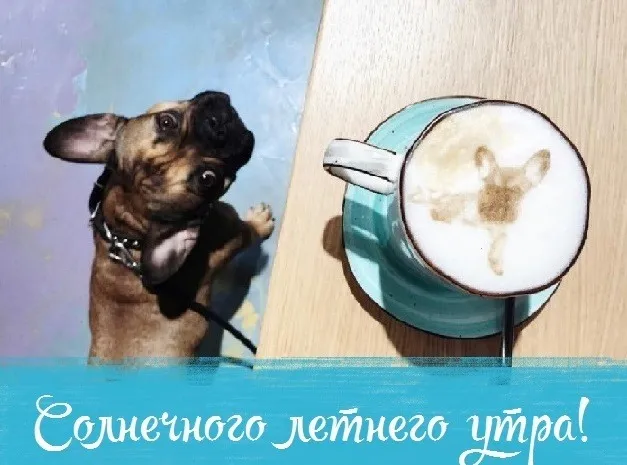 Картинки с Добрым утром лета (230 открыток). Красивые и позитивные картинки Доброе летнее утро