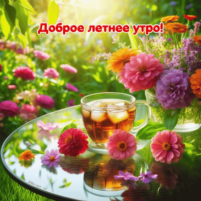 Картинки с Добрым утром лета (230 открыток). Красивые и позитивные картинки Доброе летнее утро