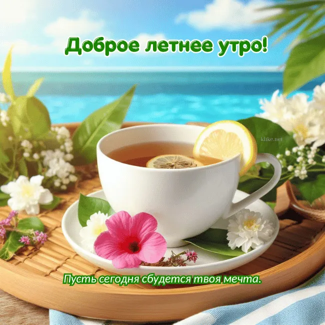 Картинки с Добрым утром лета (230 открыток). Красивые и позитивные картинки Доброе летнее утро