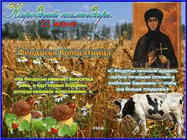 Картинки Феодосья Колосятница (17 открыток). Феодосья Колосятница: красивые картинки с надписями