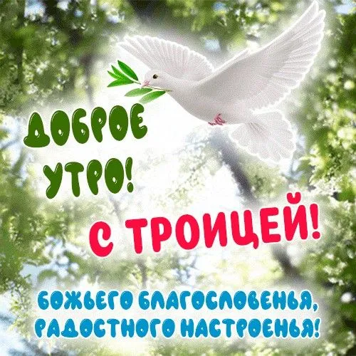 Картинки с Троицей (135 открыток). Красивые картинки Доброе утро с Троицей