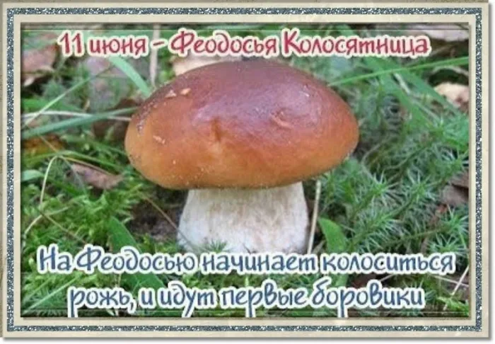 Картинки Феодосья Колосятница (17 открыток). Феодосья Колосятница: красивые картинки с надписями