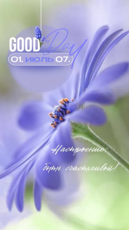 Картинки с первым днем июля (95 открыток). Красивые картинки с первым днем июля