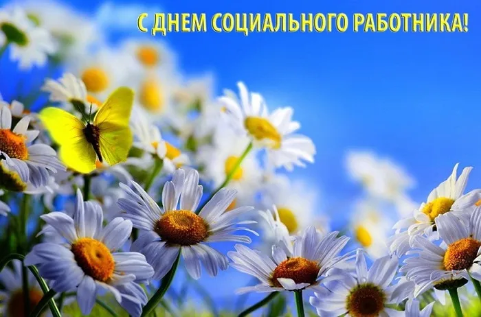 Картинки с Днем социального работника (115 открыток). Красивые картинки с Днем социального работника