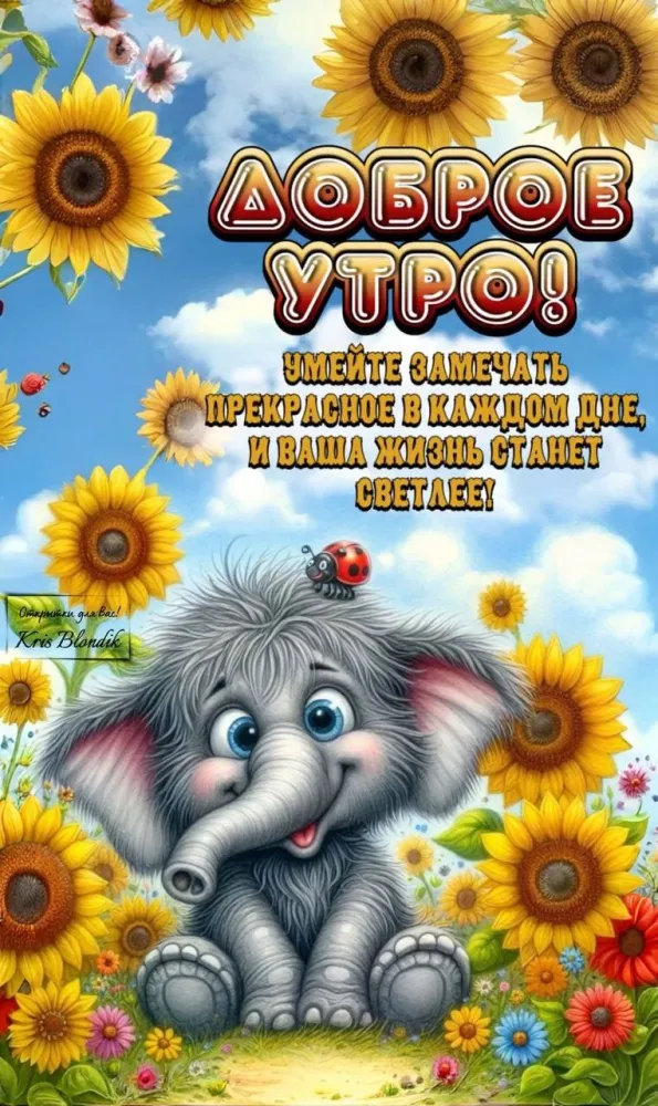 Картинки с Добрым утром лета (230 открыток). Доброе летнее утро: новые и прикольные открытки