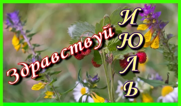 Картинки с первым днем июля (95 открыток). Красивые картинки с первым днем июля