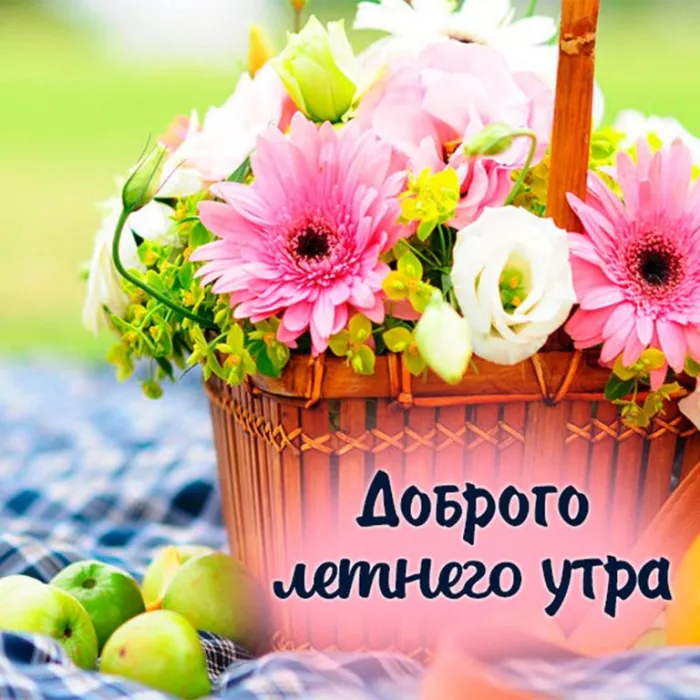 Картинки с Добрым утром лета (230 открыток). Красивые и позитивные картинки Доброе летнее утро
