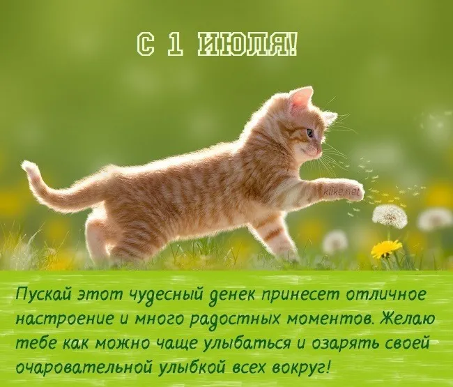 Картинки с первым днем июля (95 открыток). Красивые картинки с первым днем июля