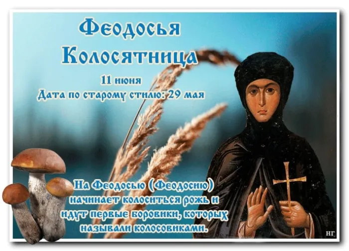 Картинки Феодосья Колосятница (17 открыток). Феодосья Колосятница: красивые картинки с надписями