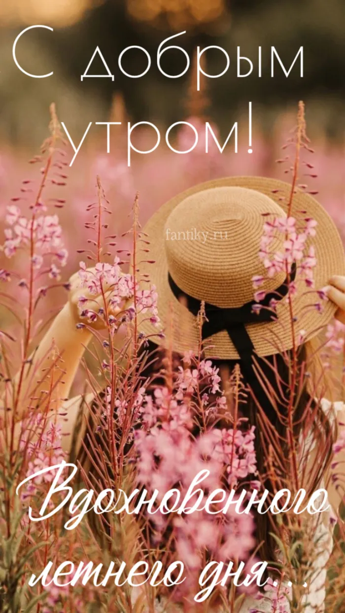 Картинки с Добрым утром лета (230 открыток). Красивые и позитивные картинки Доброе летнее утро