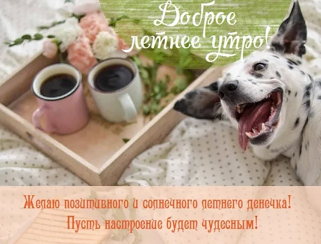 Картинки с Добрым утром лета (230 открыток). Красивые и позитивные картинки Доброе летнее утро