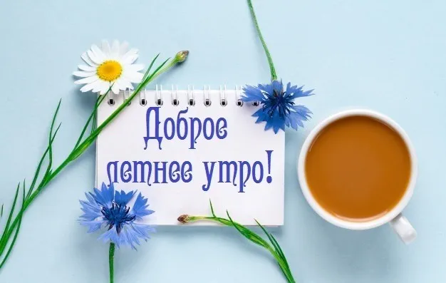 Картинки с Добрым утром лета (230 открыток)