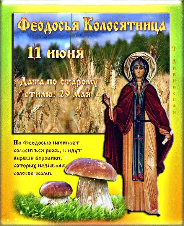 Картинки Феодосья Колосятница (17 открыток). Феодосья Колосятница: красивые картинки с надписями