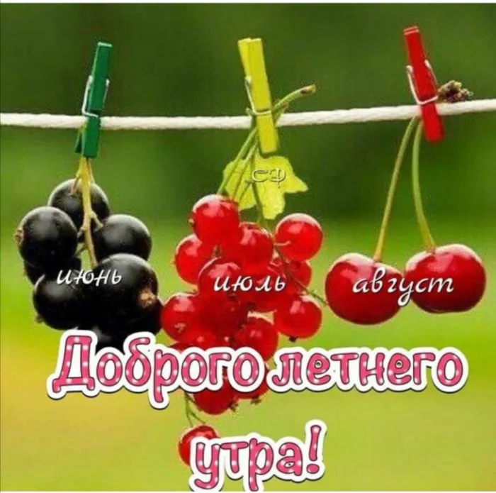 Картинки с Добрым утром лета (230 открыток). Красивые и позитивные картинки Доброе летнее утро