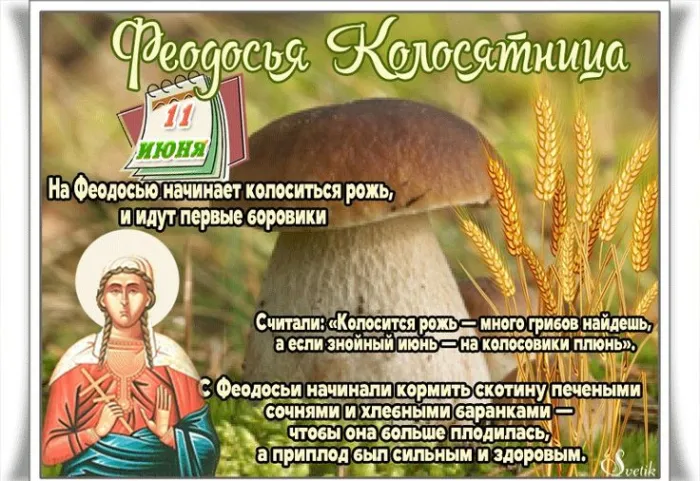 Картинки Феодосья Колосятница (17 открыток). Феодосья Колосятница: красивые картинки с надписями