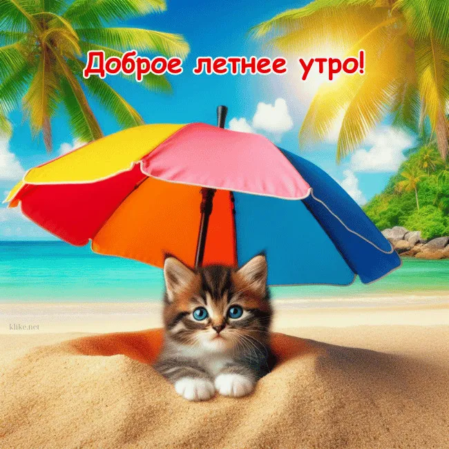 Картинки с Добрым утром лета (230 открыток). Красивые и позитивные картинки Доброе летнее утро
