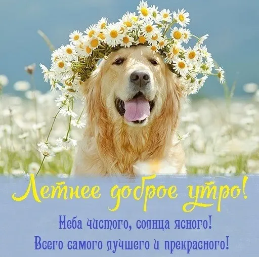 Картинки с Добрым утром лета (230 открыток). Красивые и позитивные картинки Доброе летнее утро