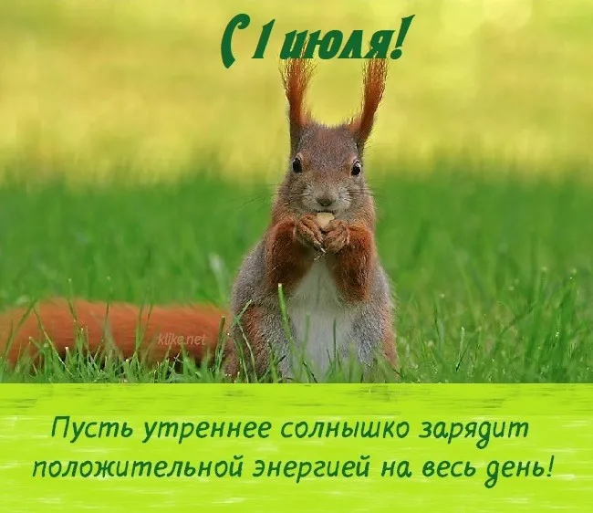 Картинки с первым днем июля (95 открыток). Красивые картинки с первым днем июля