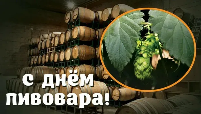 Картинки с Днем пивовара (100 открыток). Красивые и прикольные картинки с Днём пивовара