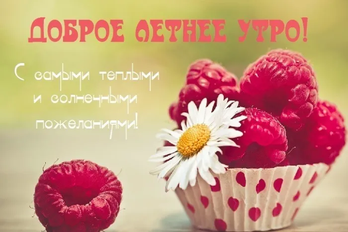 Картинки с Добрым утром лета (230 открыток). Красивые и позитивные картинки Доброе летнее утро