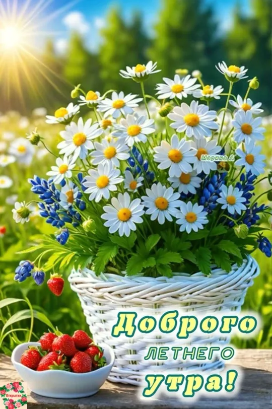 Картинки с Добрым утром лета (230 открыток). Красивые и позитивные картинки Доброе летнее утро