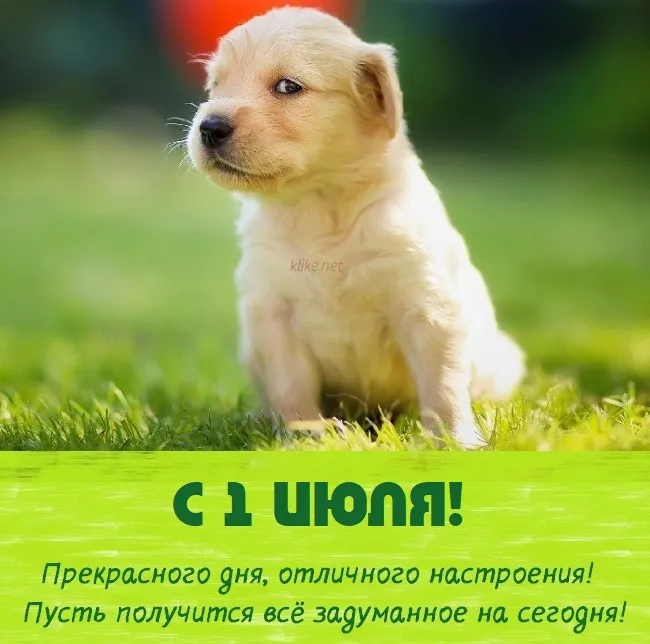 Картинки с первым днем июля (95 открыток). Красивые картинки с первым днем июля