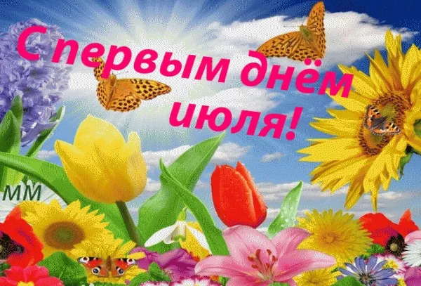Картинки с первым днем июля (95 открыток). Красивые картинки с первым днем июля