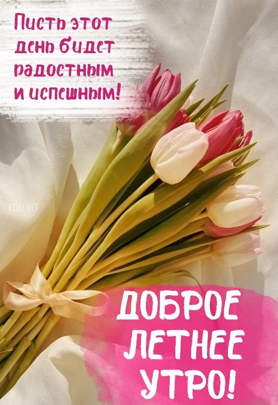 Картинки с Добрым утром лета (230 открыток). Красивые и позитивные картинки Доброе летнее утро