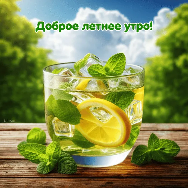 Картинки с Добрым утром лета (230 открыток). Красивые и позитивные картинки Доброе летнее утро