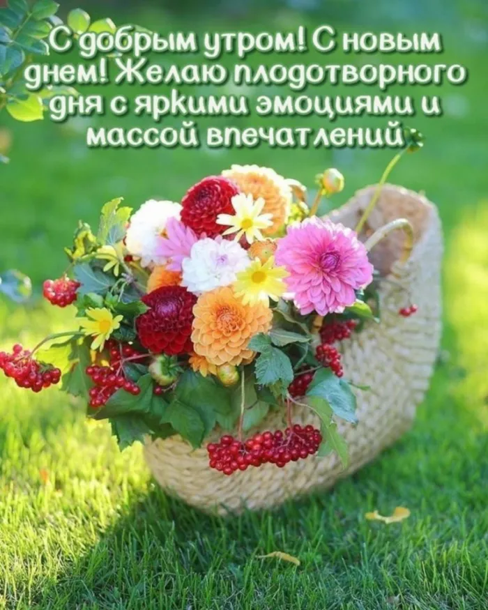 Картинки с Добрым утром лета (230 открыток). Красивые и позитивные картинки Доброе летнее утро