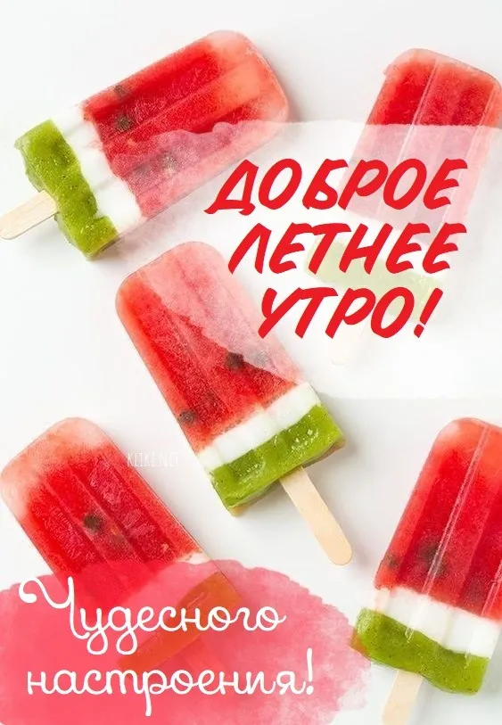 Картинки с Добрым утром лета (230 открыток). Красивые и позитивные картинки Доброе летнее утро