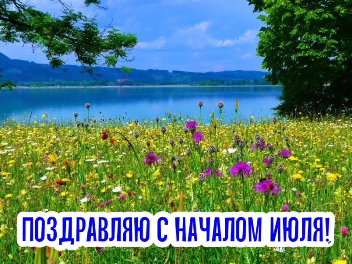 Картинки с первым днем июля (95 открыток)