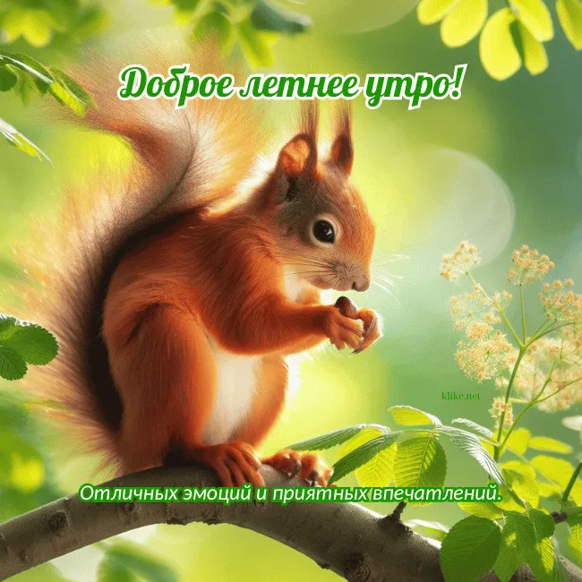 Картинки с Добрым утром лета (230 открыток). Красивые и позитивные картинки Доброе летнее утро