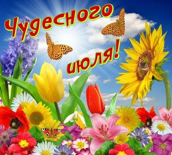 Картинки с первым днем июля (95 открыток). Красивые картинки с первым днем июля