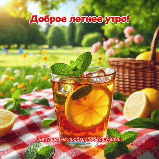Картинки с Добрым утром лета (230 открыток). Красивые и позитивные картинки Доброе летнее утро